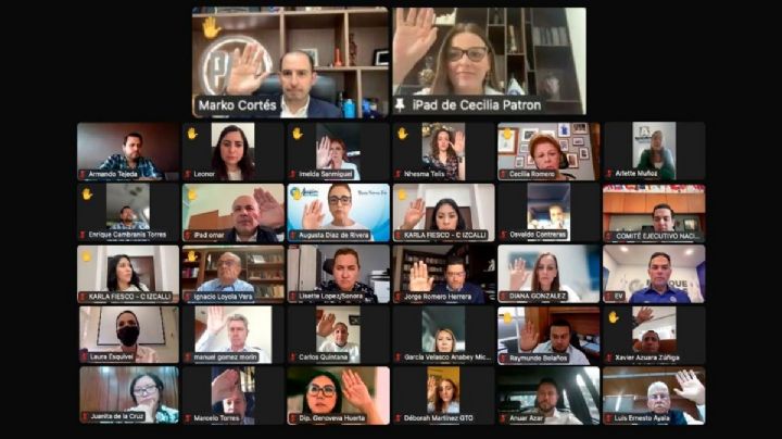 PAN va contra selección para nuevos consejeros del INE