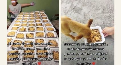 Niña prepara decenas de platos de comida y los reparte a los perritos de su comunidad