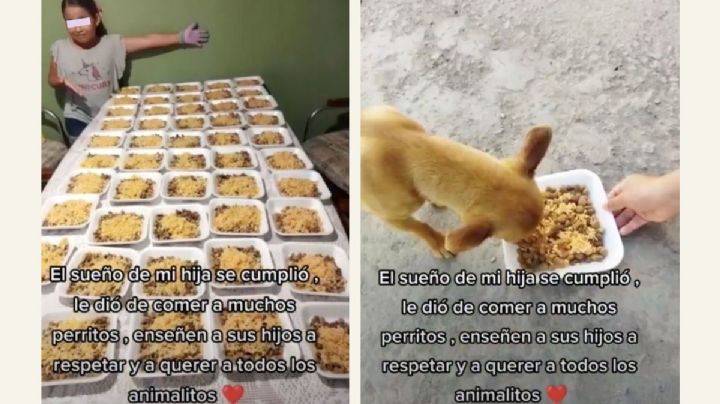 Niña prepara decenas de platos de comida y los reparte a los perritos de su comunidad