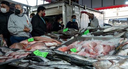 Cuaresma: Gato por liebre, mexicanos compramos pescado "pirata"