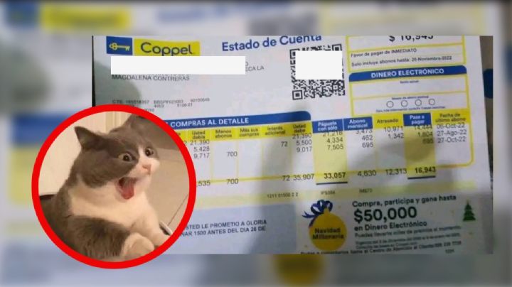 Coppel: ¿Qué es un saldo vencido y cómo afecta a tu crédito?