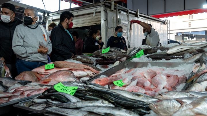 Cuaresma: Gato por liebre, mexicanos compramos pescado "pirata"