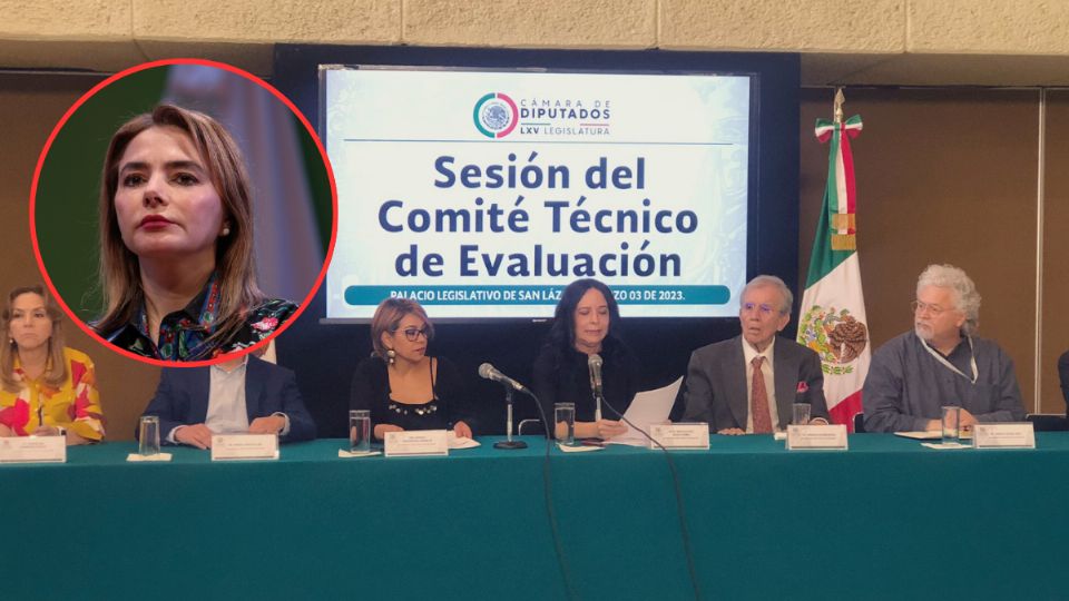 Quedó fuera de la lista para elegir a la nueva presidenta del INE