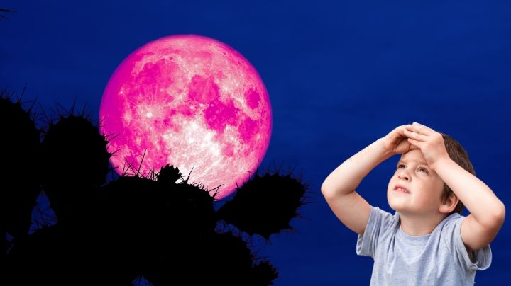 Luna rosa 2023: ¿Cómo verla? ¿Cuándo es? Anota esto
