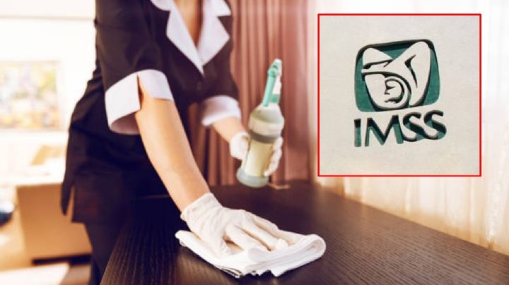 Trabajadoras del hogar deben ser aseguradas, el IMSS va a facilitar el trámite