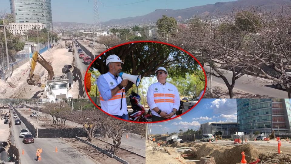 Por la megaobra 'Circuito Interior Chiapas de Corazón' serán intervenidos mil 134 árboles (542 se conservarían en su sitio, 98 serían trasplantados y el resto talado).