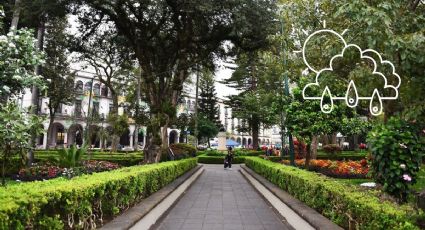 Lluvias: Así estará el clima en Xalapa hoy domingo 18 de agosto