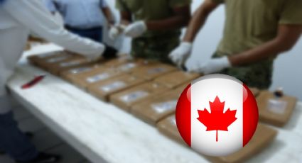 ¿En Canadá ya se podrá producir y vender cocaína de forma legal?