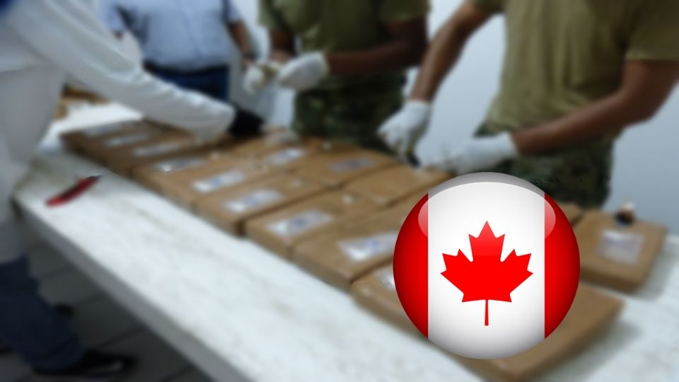 En Canadá se registró que, el número de víctimas mortales por sobredosis ha superado las 30 mil.