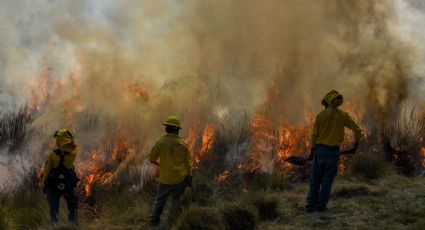 Por ola de calor, en Córdoba piden acatar prohibición de quemas agrícolas