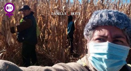 "Mi producción bajó y dependo del temporal": así se siembra maíz sin agroquímicos
