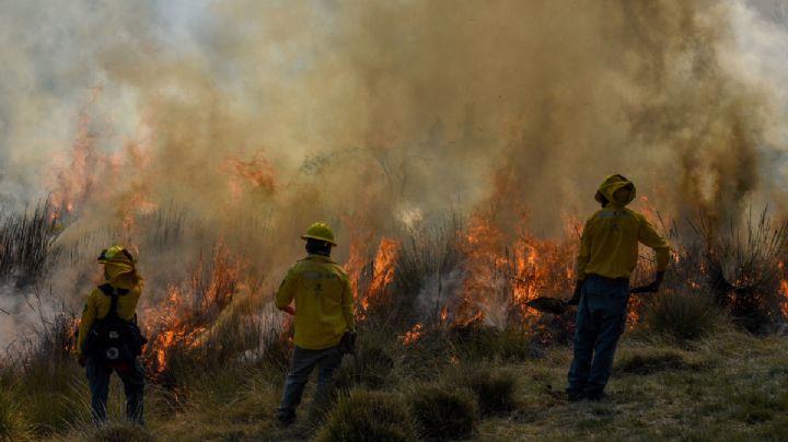 Así puedes lanzar una alerta por un incendio forestal en Veracruz