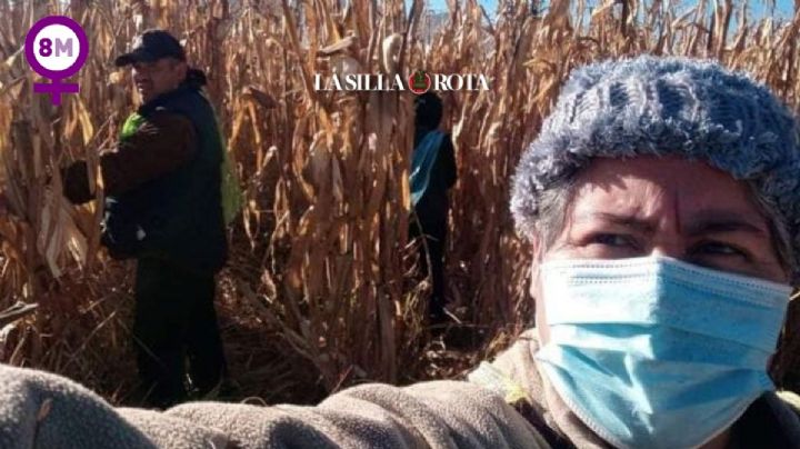 "Mi producción bajó y dependo del temporal": así se siembra maíz sin agroquímicos