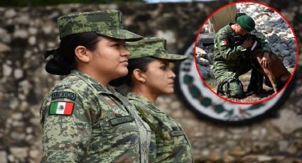 Eres mujer y quieres entrar al Ejército Mexicano; esto necesitas