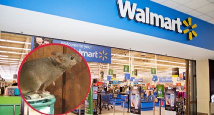 ¿Qué pasa cuándo detienen a "la ratota" por robar en Walmart?