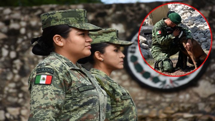 Eres mujer y quieres entrar al Ejército Mexicano; esto necesitas