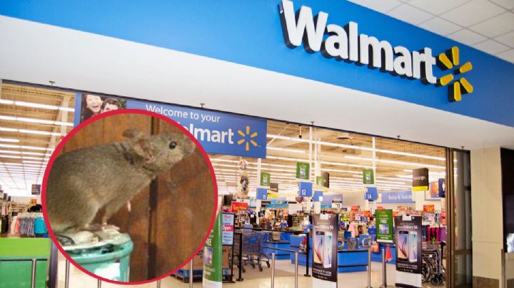 ¿Qué pasa cuándo detienen a "la ratota" por robar en Walmart?