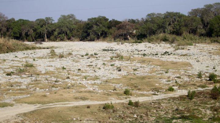 Agua en CDMX, en "condición crítica"; alistan 3 acciones para enfrentar la grave sequía