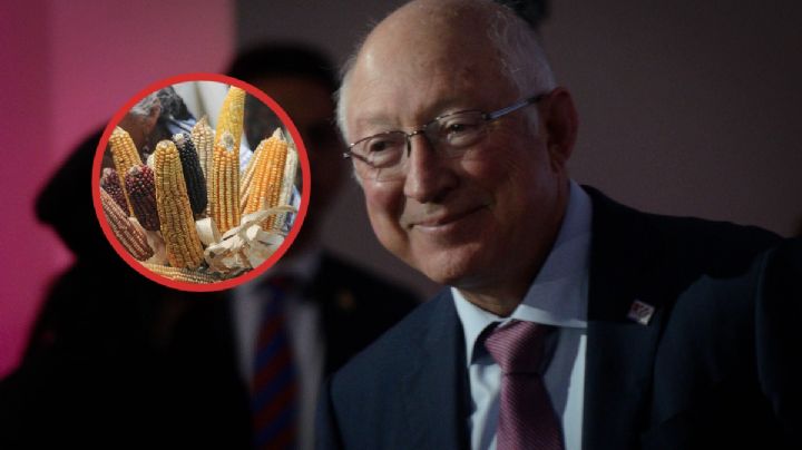 Maíz Transgénico: Controversia México-EU continúa y el embajador Salazar esto piensa