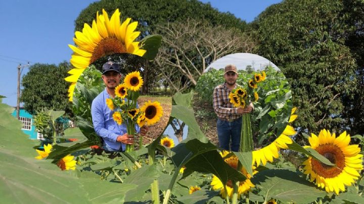 Carlos y Luis, emprenden negocio de venta de girasoles en Veracruz