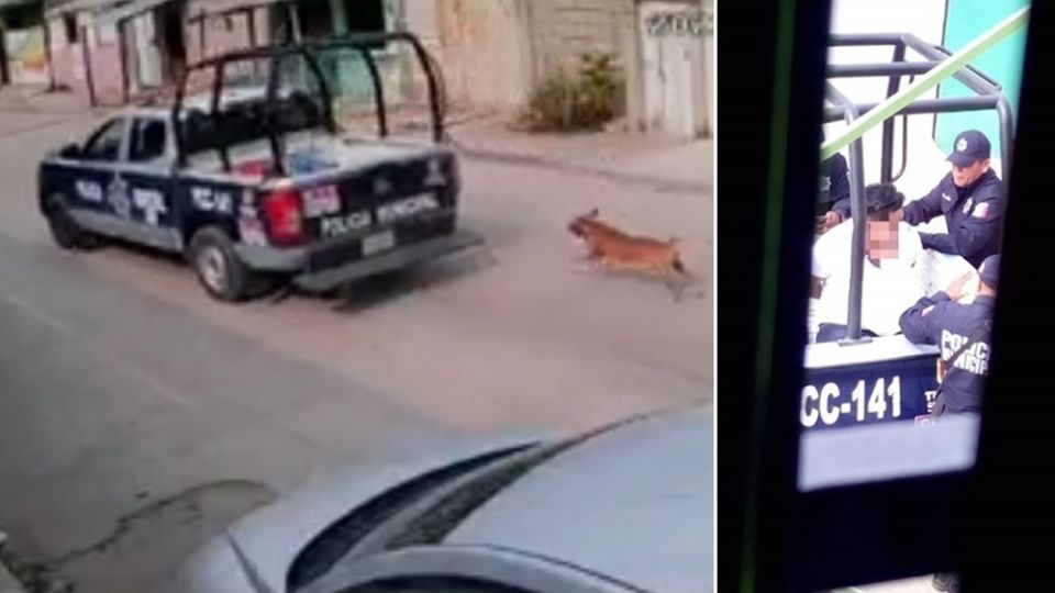 Los elementos de la policía municipal detuvieron su marcha, se bajaron de la patrulla, golpearon y detuvieron al taxista, a quien, bajo amenazas, se lo llevaron detenido