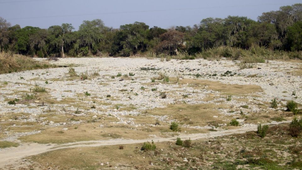 Estrategia del gobierno para enfrentar la falta de agua