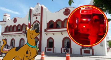 Usan uniforme y vehículo oficial en Hidalgo para bailar “Scooby Doo pa pa” | VIDEO