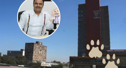 ¿Voto por voto de comunidad de la UNAM para elegir rector?