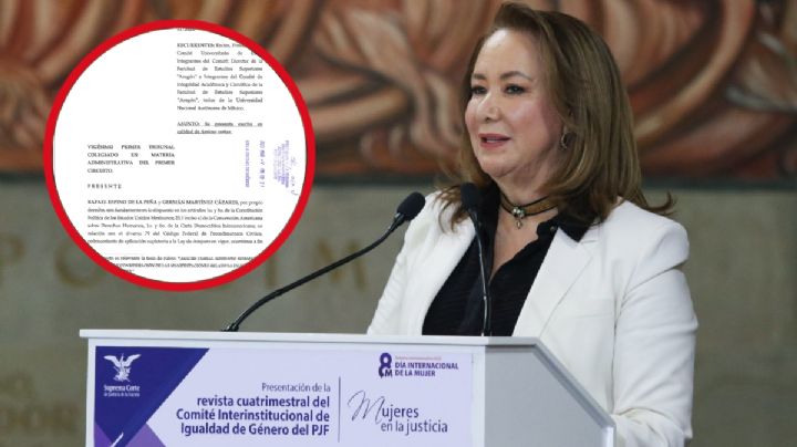 ¿Qué es el amicus curiae del Grupo Plural contra el plagio de Yasmín Esquivel?