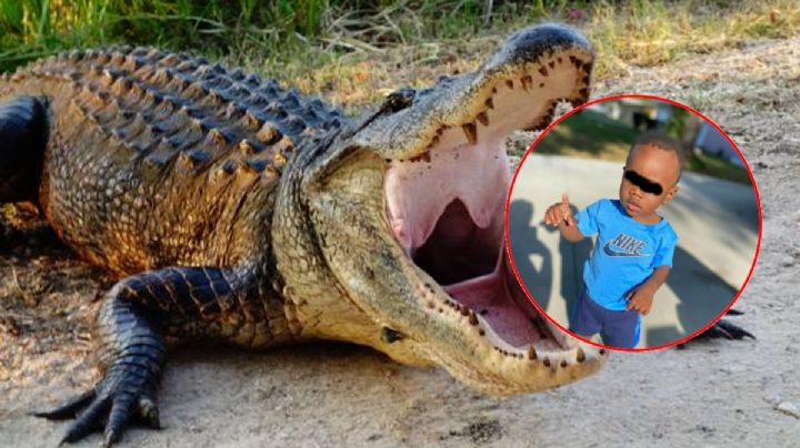Taylen, el niño de 2 años hallado dentro de la boca de un caimán