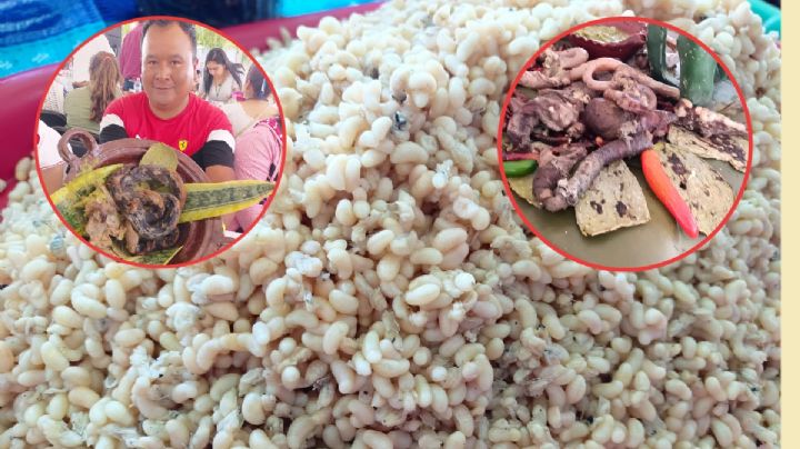 Muestra Gastronómica de Santiago de Anaya: viril de toro, zorro, víbora y más | FOTOS