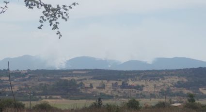 Van 3 días de devastación: incendio forestal consume más de 1,000 hectáreas en Guanajuato