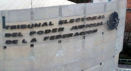 Diputados frenan "revisión de funciones" al Tribunal Electoral