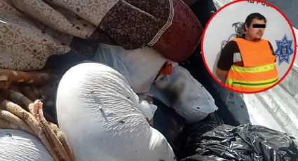 Hallan 118 perros muertos en camioneta de Ciudad Juárez; estaban embolsados en la cabina