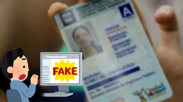¿Qué pasa si mi licencia de conducir es falsificada?