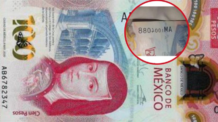 ¿Sin ganas de trabajar? Revisa si tienes el billete de 100 por el que dan 5 MILLONES de pesos