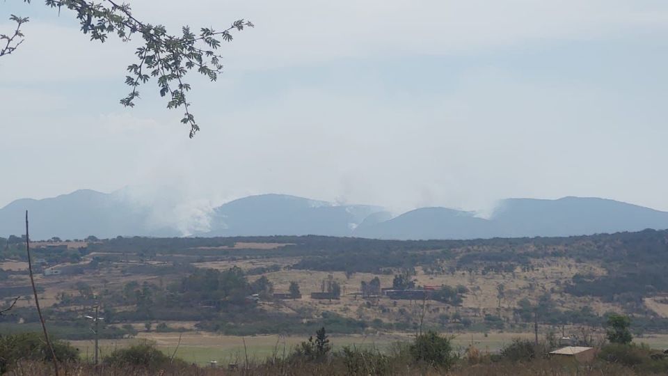 Grandes columnas de humo se alzan entre la serranía en incendio forestal en la Sierra de Codornices.