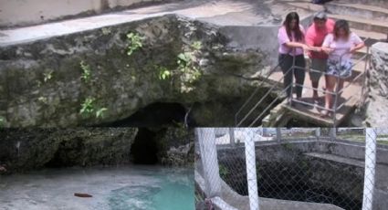 VIDEO: Familia descubre cenote en patio de su casa; querían construir una alberca