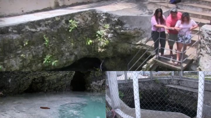 VIDEO: Familia descubre cenote en patio de su casa; querían construir una alberca