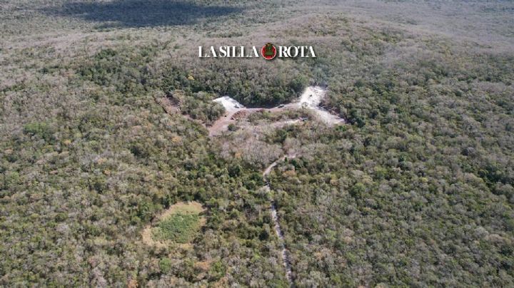 Tren Maya: El nuevo hotel de la Sedena que daña la selva y a su hábitat