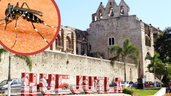 ¡Mosco no me piques! Detectan primeros casos de dengue en Hidalgo