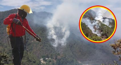 Incendio “devora” parque nacional Los Mármoles en Zimapán | FOTOS