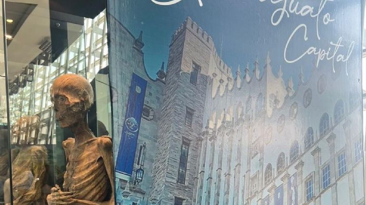 Podrían ser contagiosos hongos en las momias de Guanajuato