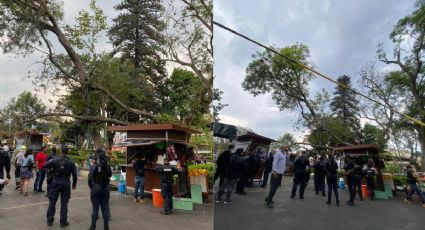 Frente Frío 49 con granizo, lluvias y cierre de parques en Banderilla y Xalapa