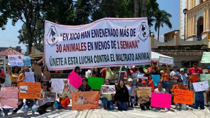 ¿Quién está envenenando animales en Xico? Esto dicen activistas