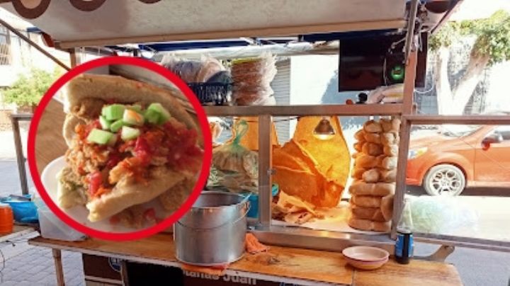 ¿Cuáles son las mejores guacamayas de León?