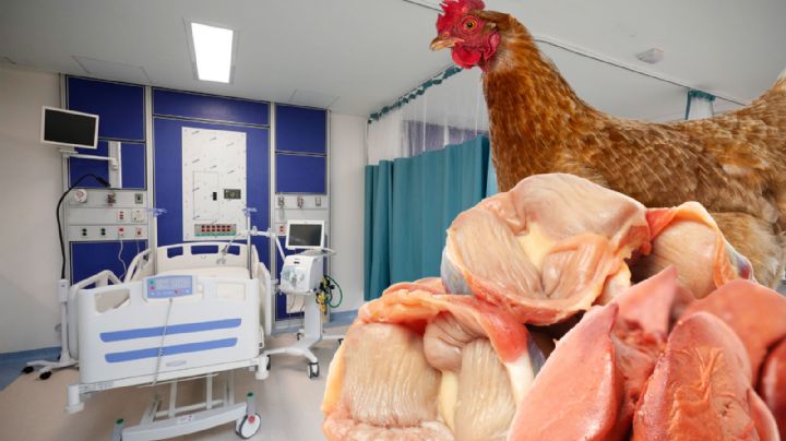 Insabi alista compra de vísceras de pollo para sus enfermos
