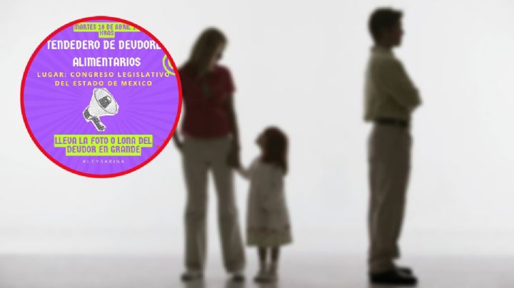 Presionarán a padres incumplidos con pensiones alimenticias, Congresos locales ya armonizan leyes