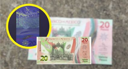 ¿Qué debe de tener este billete de 20 para que lo vendas en 100,000 pesos?