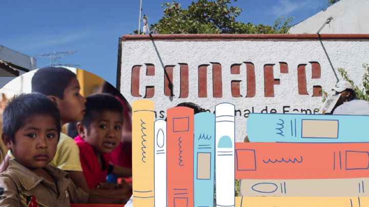 Conafe se sale con la suya y otorga contrato a modo... revisado por la SFP